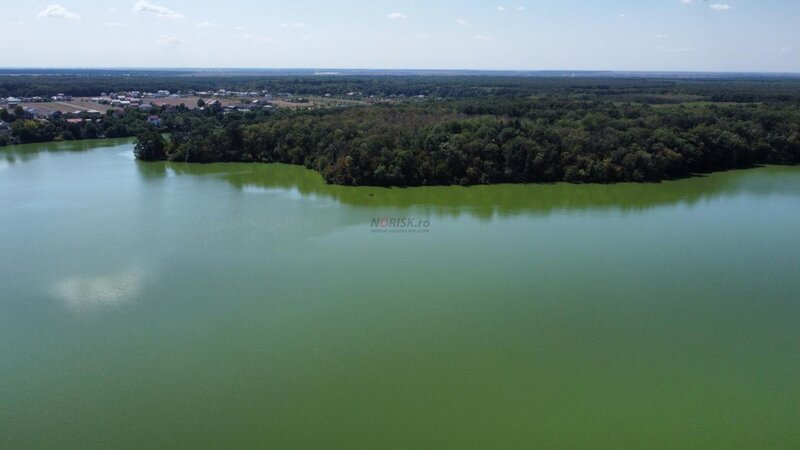 Teren intravilan construibil 460 mp | Branesti (zona Lac Branesti II)